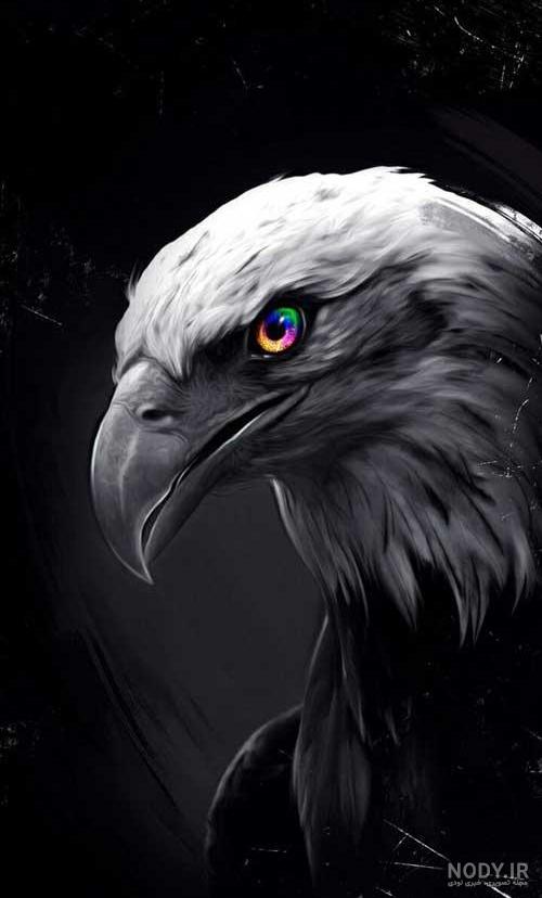 عکس عقاب شاخ