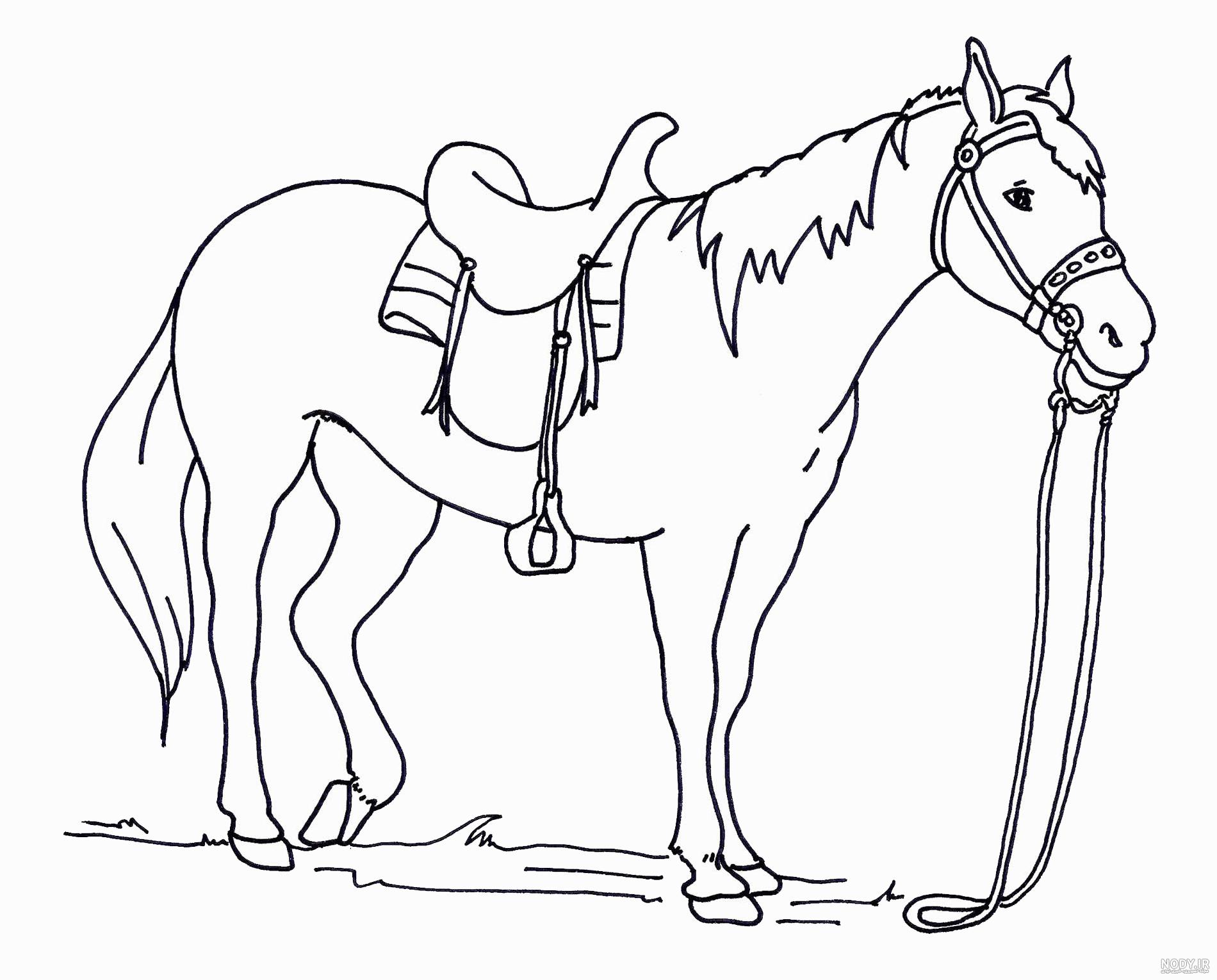 عکس نقاشی اسب تک شاخ