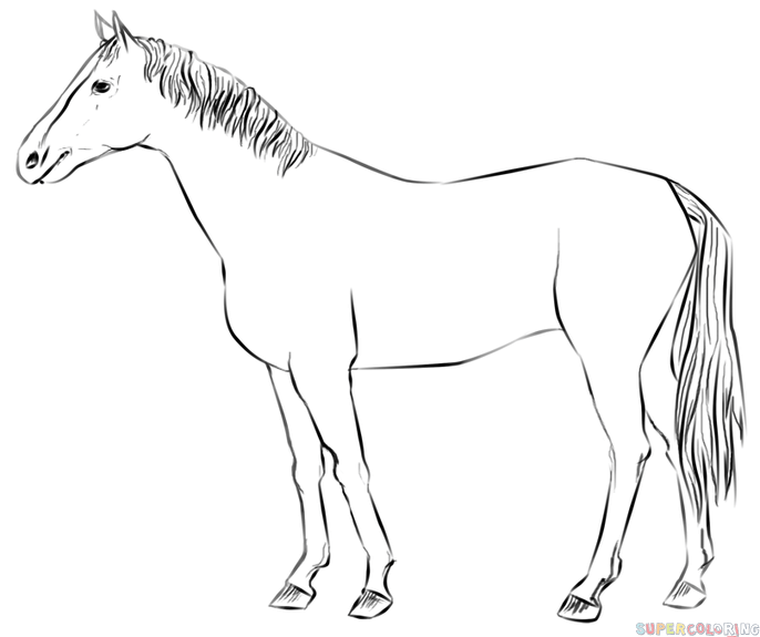 عکس نقاشی اسب تک شاخ ساده