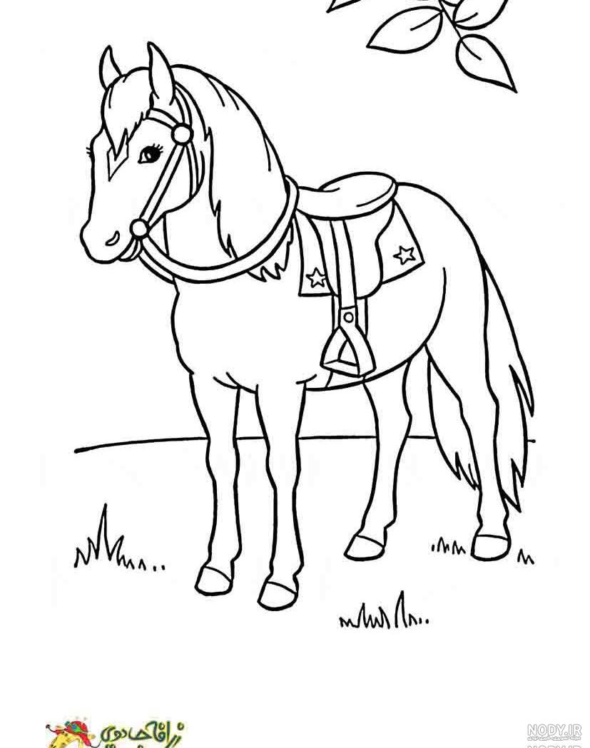 نقاشی سر اسب ساده