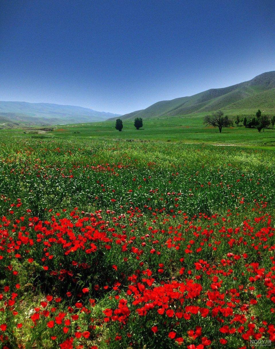چند عکس زیبا از طبیعت ایران