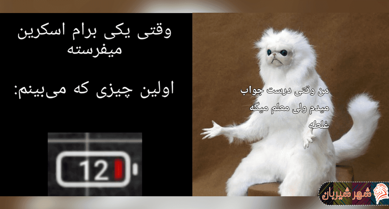 nody--1636897641.png