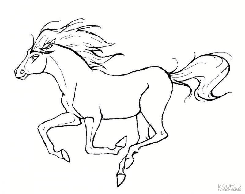 عکس نقاشی اسب خیلی ساده