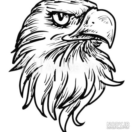 نقاشی عقاب تاتو